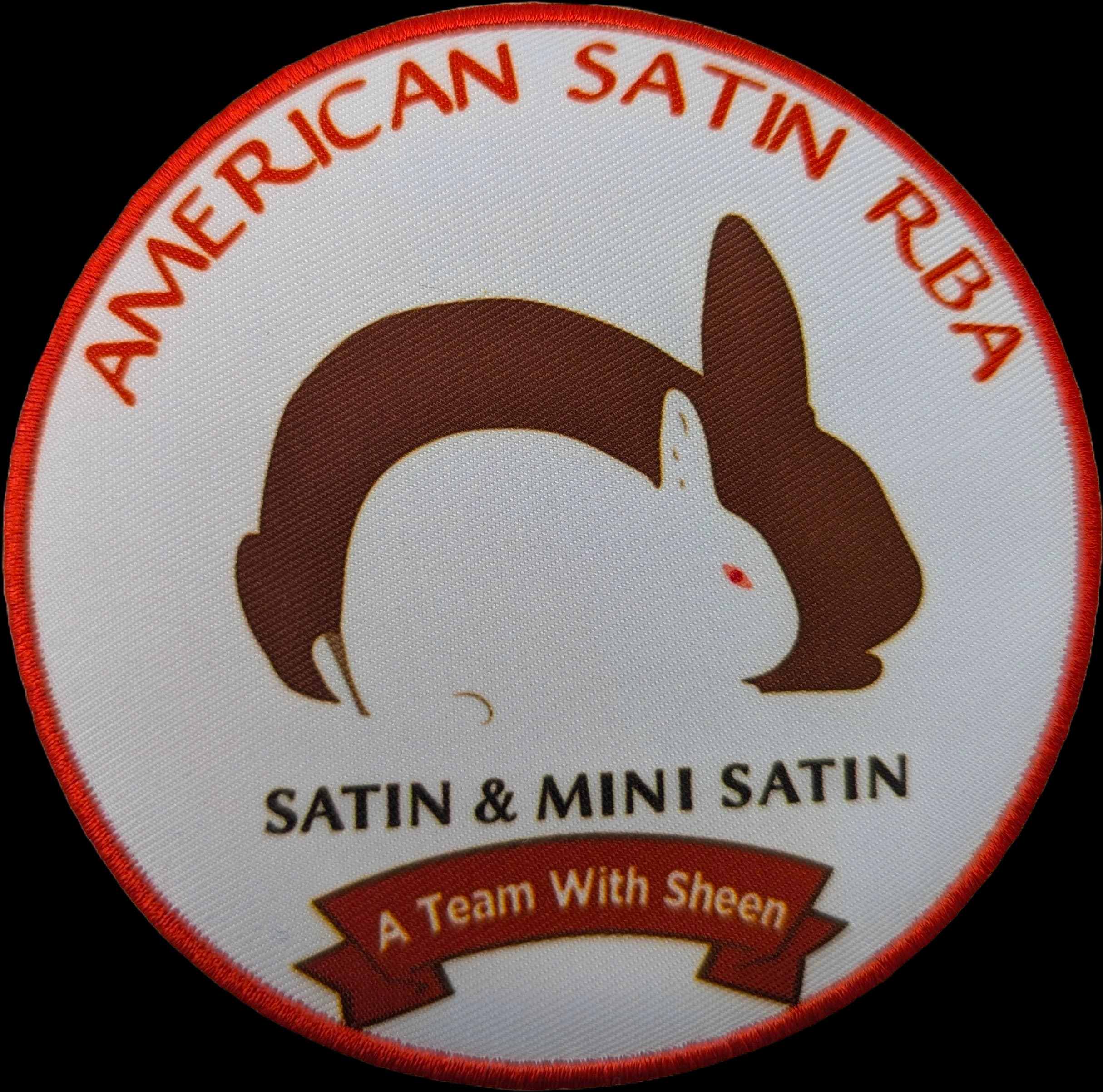 Vibrant Sublimation Patches for Full-Color Designs – image 4